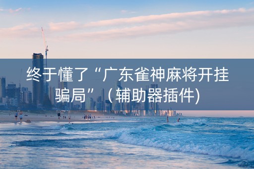 终于懂了“广东雀神麻将开挂骗局”（辅助器插件)