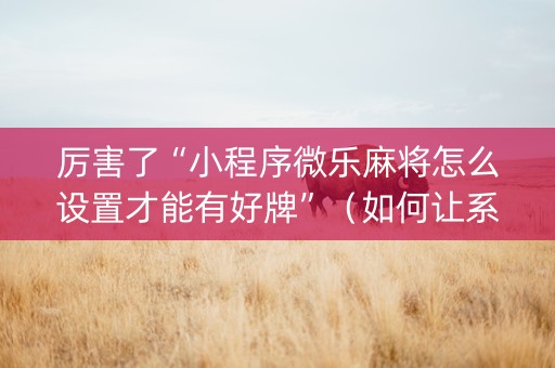 厉害了“小程序微乐麻将怎么设置才能有好牌”（如何让系统发好牌)