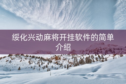 绥化兴动麻将开挂软件的简单介绍