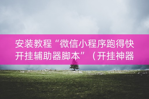 安装教程“微信小程序跑得快开挂辅助器脚本”（开挂神器下载)