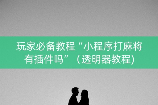 玩家必备教程“小程序打麻将有插件吗”（透明器教程)
