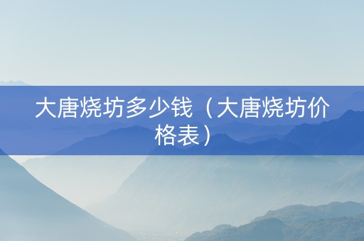 大唐烧坊多少钱（大唐烧坊价格表）