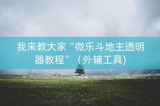 我来教大家“微乐斗地主透明器教程”（外辅工具)
