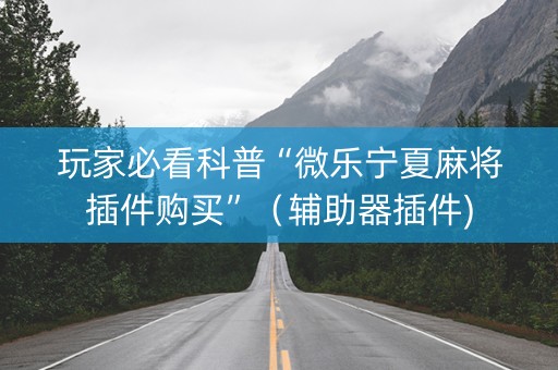 玩家必看科普“微乐宁夏麻将插件购买”（辅助器插件)
