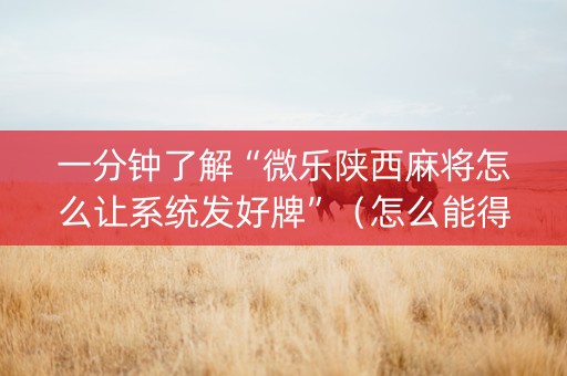 一分钟了解“微乐陕西麻将怎么让系统发好牌”（怎么能得到好牌)