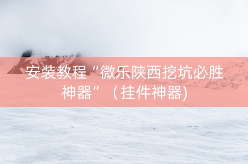 安装教程“微乐陕西挖坑必胜神器”（挂件神器)