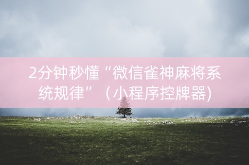 2分钟秒懂“微信雀神麻将系统规律”（小程序控牌器)