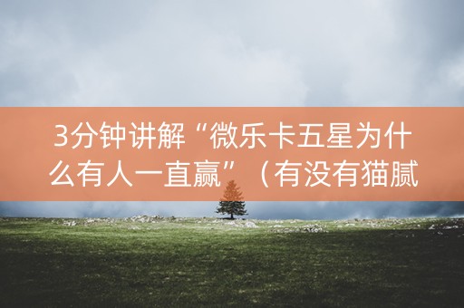 3分钟讲解“微乐卡五星为什么有人一直赢”（有没有猫腻)