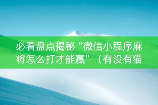 必看盘点揭秘“微信小程序麻将怎么打才能赢”（有没有猫腻)