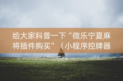 给大家科普一下“微乐宁夏麻将插件购买”（小程序控牌器)