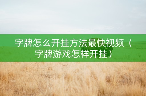 字牌怎么开挂方法最快视频（字牌游戏怎样开挂）