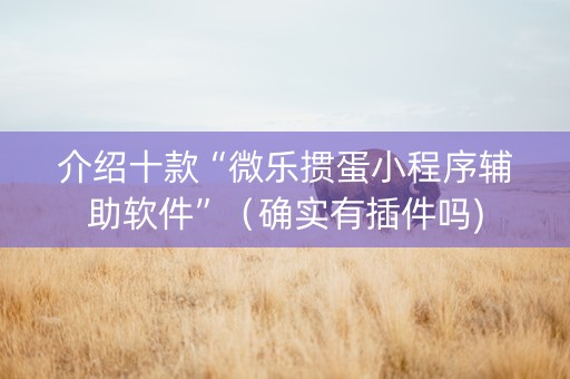 介绍十款“微乐掼蛋小程序辅助软件”（确实有插件吗)