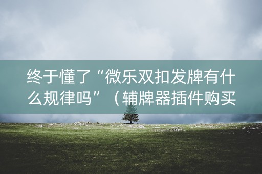 终于懂了“微乐双扣发牌有什么规律吗”（辅牌器插件购买)