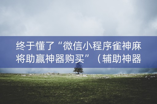 终于懂了“微信小程序雀神麻将助赢神器购买”（辅助神器免费)
