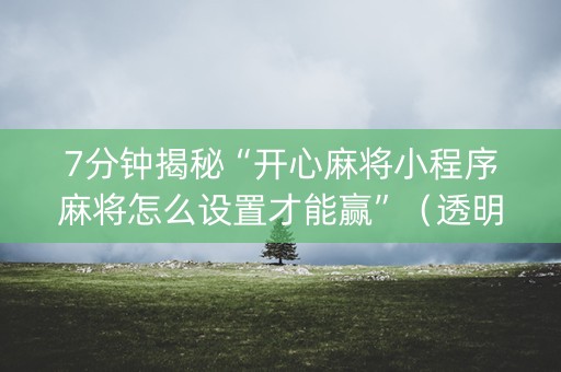 7分钟揭秘“开心麻将小程序麻将怎么设置才能赢”（透明挂辅助器)