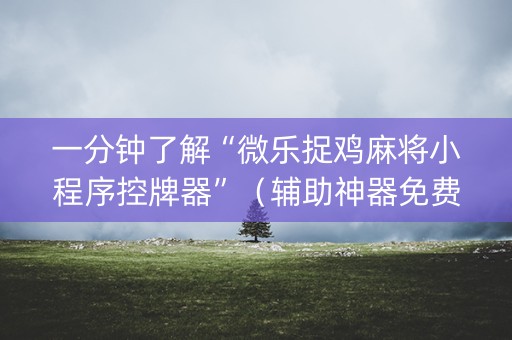 一分钟了解“微乐捉鸡麻将小程序控牌器”（辅助神器免费)