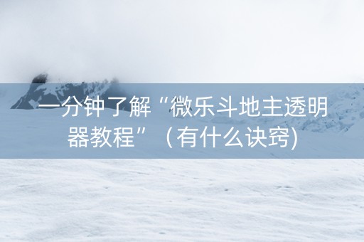 一分钟了解“微乐斗地主透明器教程”（有什么诀窍)