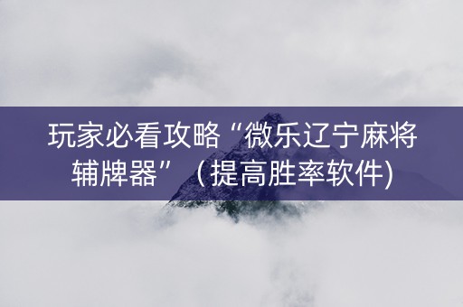 玩家必看攻略“微乐辽宁麻将辅牌器”（提高胜率软件)
