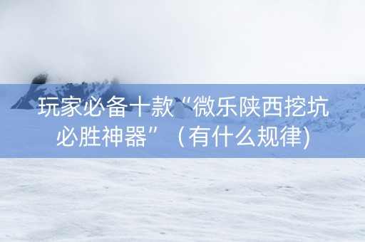 玩家必备十款“微乐陕西挖坑必胜神器”（有什么规律)