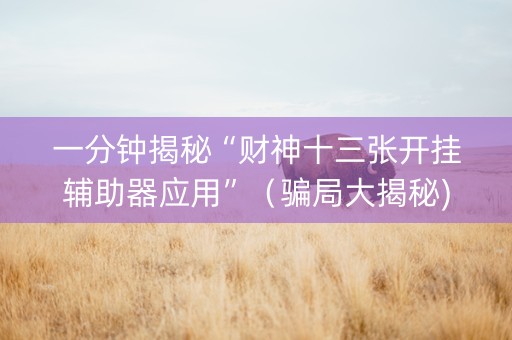 一分钟揭秘“财神十三张开挂辅助器应用”（骗局大揭秘)