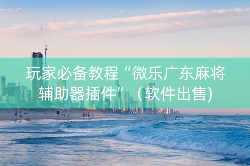 玩家必备教程“微乐广东麻将辅助器插件”（软件出售)