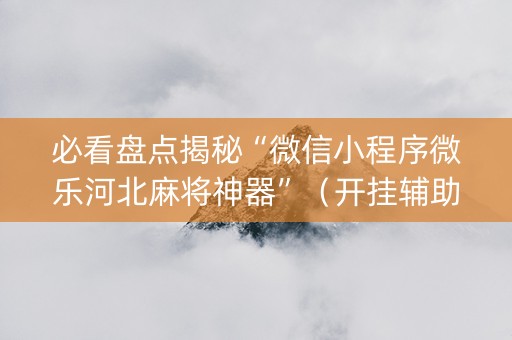 必看盘点揭秘“微信小程序微乐河北麻将神器”（开挂辅助器插件)