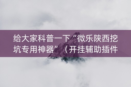 给大家科普一下“微乐陕西挖坑专用神器”（开挂辅助插件)