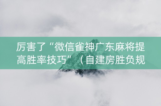 厉害了“微信雀神广东麻将提高胜率技巧”（自建房胜负规律)