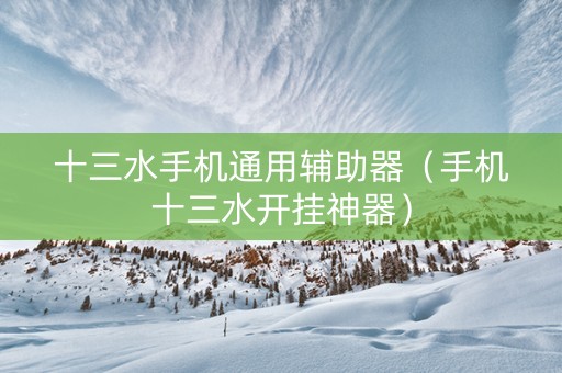 十三水手机通用辅助器（手机十三水开挂神器）
