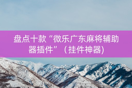 盘点十款“微乐广东麻将辅助器插件”（挂件神器)