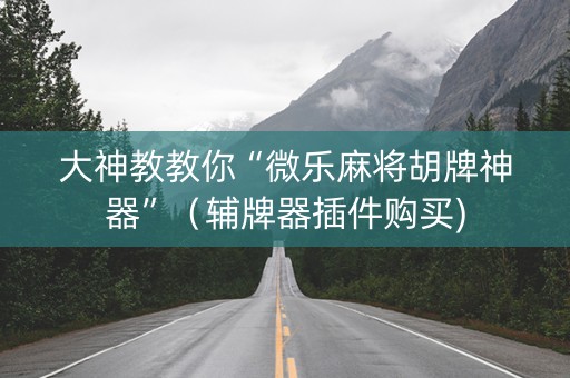大神教教你“微乐麻将胡牌神器”（辅牌器插件购买)