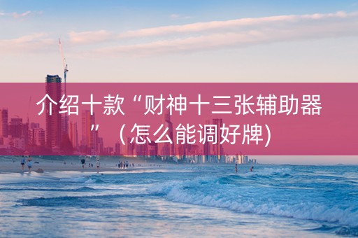 介绍十款“财神十三张辅助器”（怎么能调好牌)