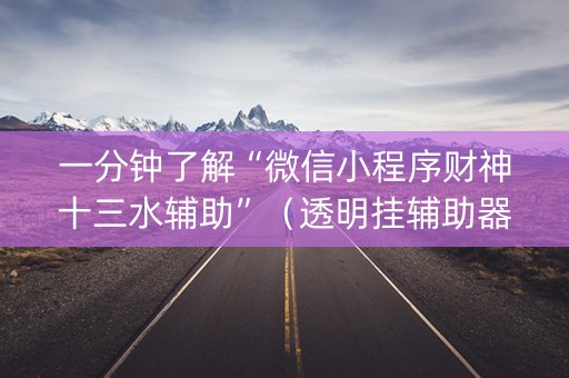 一分钟了解“微信小程序财神十三水辅助”（透明挂辅助器)