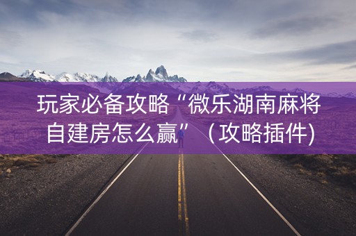 玩家必备攻略“微乐湖南麻将自建房怎么赢”（攻略插件)