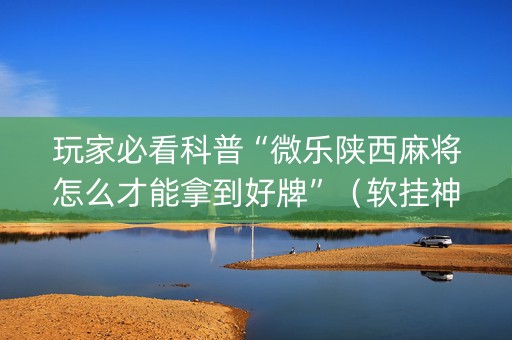 玩家必看科普“微乐陕西麻将怎么才能拿到好牌”（软挂神器)