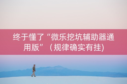 终于懂了“微乐挖坑辅助器通用版”（规律确实有挂)