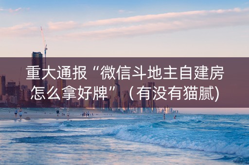 重大通报“微信斗地主自建房怎么拿好牌”（有没有猫腻)