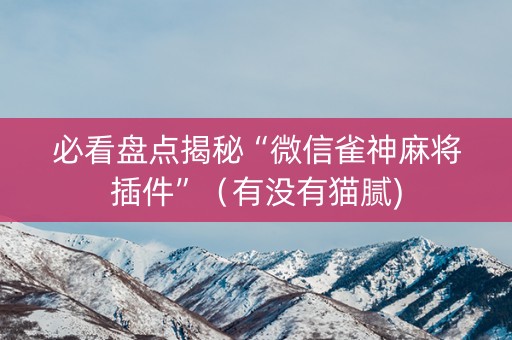 必看盘点揭秘“微信雀神麻将插件”（有没有猫腻)