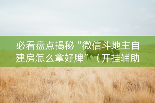 必看盘点揭秘“微信斗地主自建房怎么拿好牌”（开挂辅助器脚本)