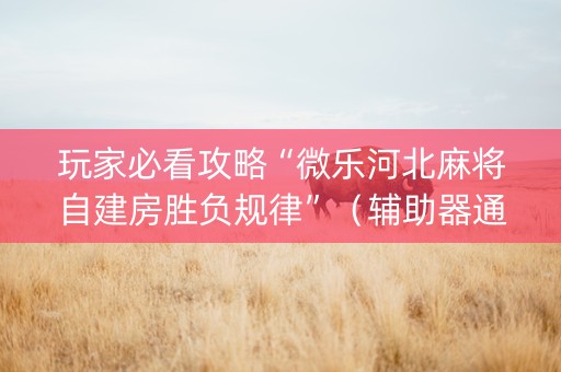 玩家必看攻略“微乐河北麻将自建房胜负规律”（辅助器通用版)