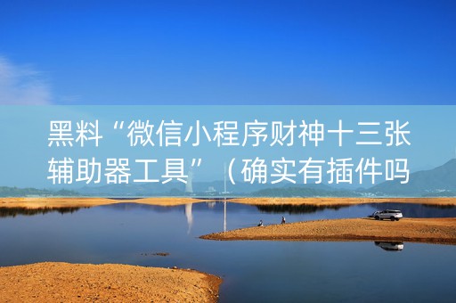 黑料“微信小程序财神十三张辅助器工具”（确实有插件吗)