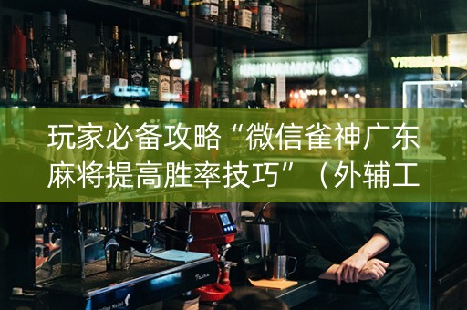 玩家必备攻略“微信雀神广东麻将提高胜率技巧”（外辅工具)
