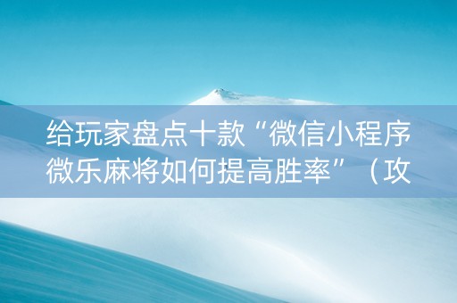给玩家盘点十款“微信小程序微乐麻将如何提高胜率”（攻略插件)
