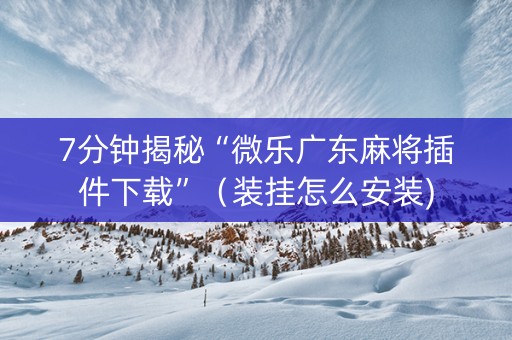 7分钟揭秘“微乐广东麻将插件下载”（装挂怎么安装)