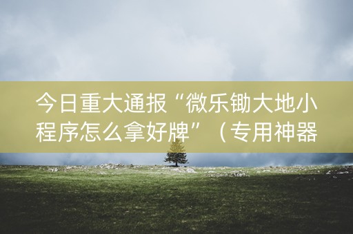 今日重大通报“微乐锄大地小程序怎么拿好牌”（专用神器下载)