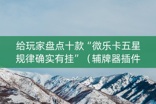 给玩家盘点十款“微乐卡五星规律确实有挂”（辅牌器插件购买)