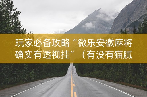 玩家必备攻略“微乐安徽麻将确实有透视挂”（有没有猫腻)