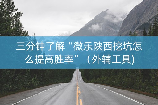 三分钟了解“微乐陕西挖坑怎么提高胜率”（外辅工具)
