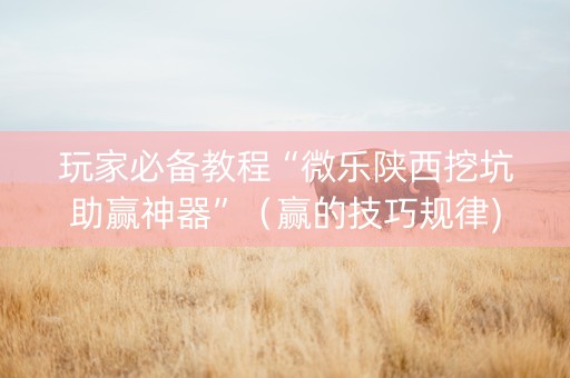 玩家必备教程“微乐陕西挖坑助赢神器”（赢的技巧规律)