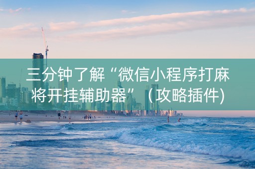 三分钟了解“微信小程序打麻将开挂辅助器”（攻略插件)